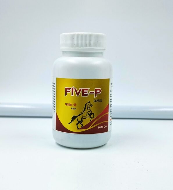 IMG_20220312_172727744 (1) – Copy