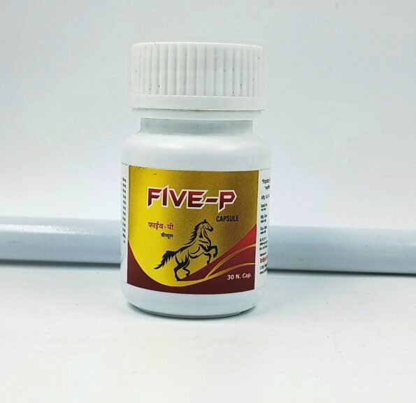 IMG_20220312_172909402 – Copy